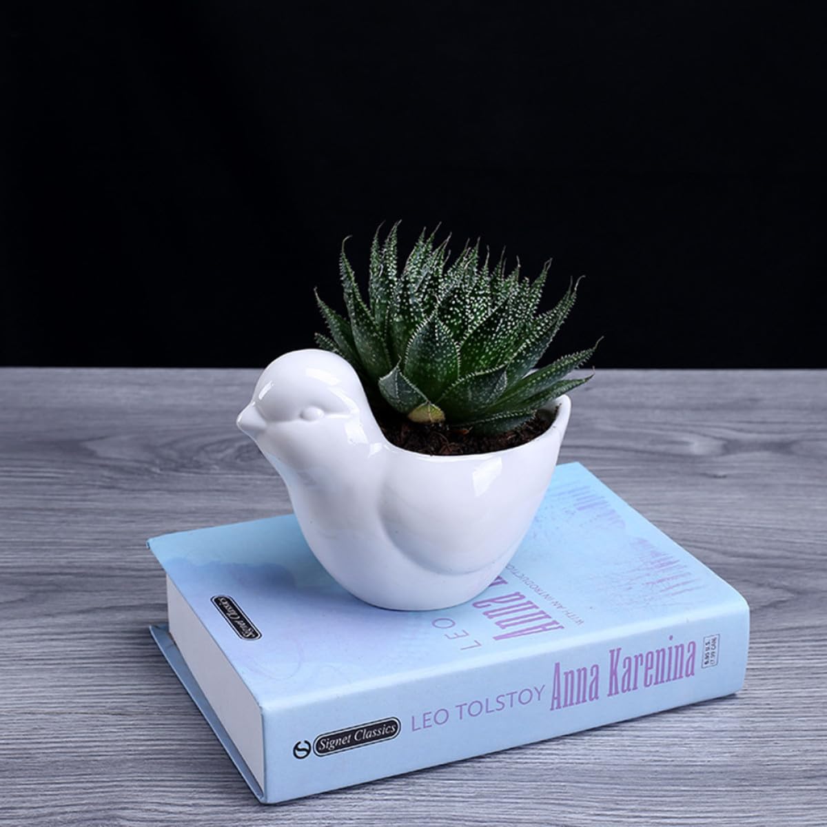 HANABASS Ceramic Succulent Plant Pot Bird Shape White Small Flower Pot Saucer Indoor Desktop Planter for Home Garden Decor
