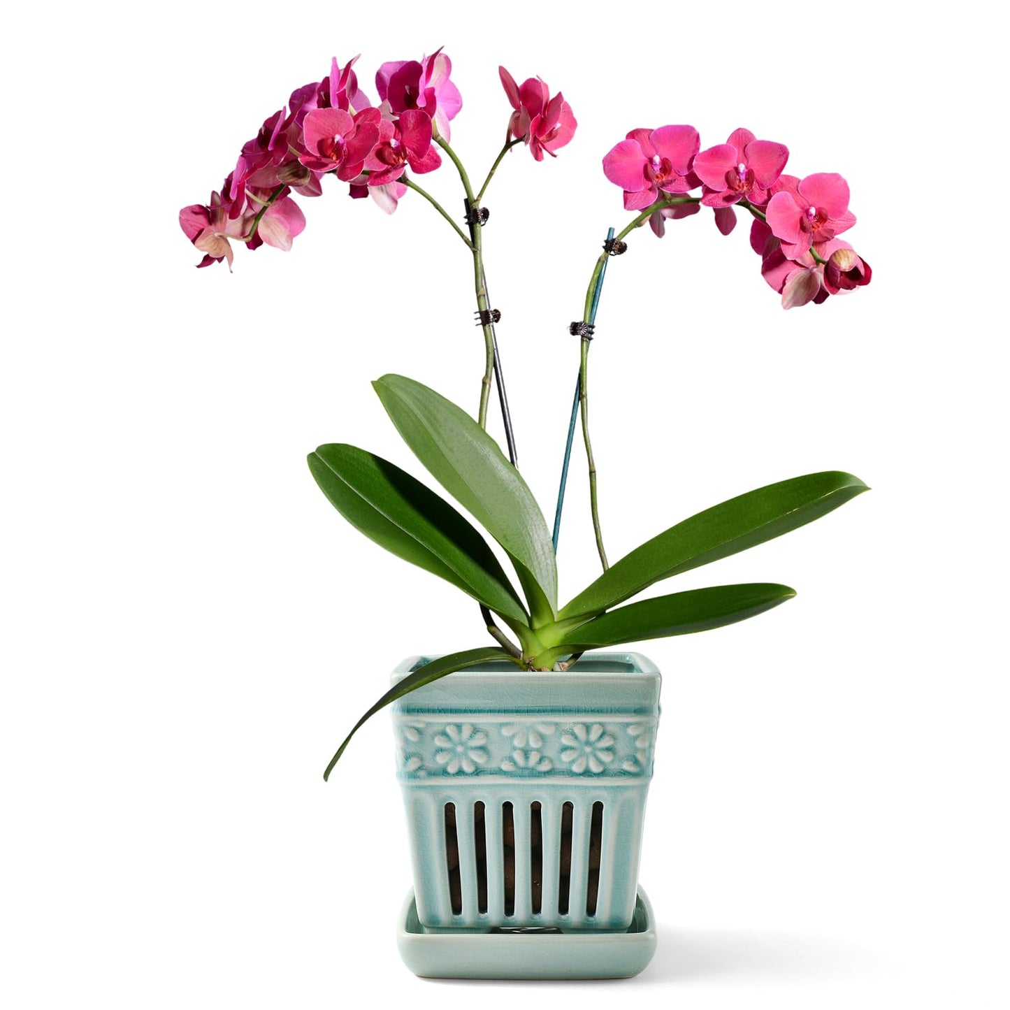 SUADEN Orchid Pots with Holes | 5" Ceramic Orchid Planter with Separate Saucer and Drainage Holes | Crackle Glazed Pottery Small Flower Pot for Repotting Orchids（Blue）"