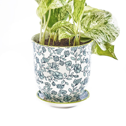 CHIVE ‘Liberte’ Ceramic Succulent Pots — 4.25” Cute Vintage Farmhouse Style Planters for Indoor Plants — Beautiful Home & Kitchen Decor — Green Flowers