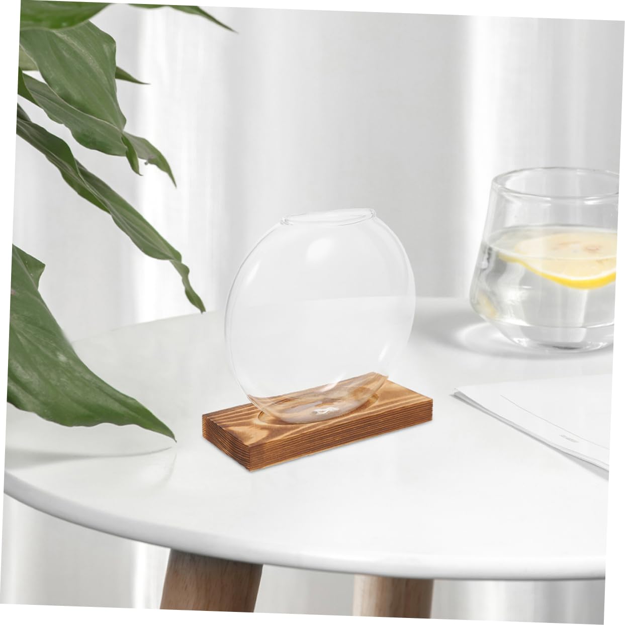 VALICLUD 2pcs Glass Planter: Transparent Glass Vase with Wooden Stand Hydroponic Plant Propagation Station - Stylish Terrarium for Home and Office Decor