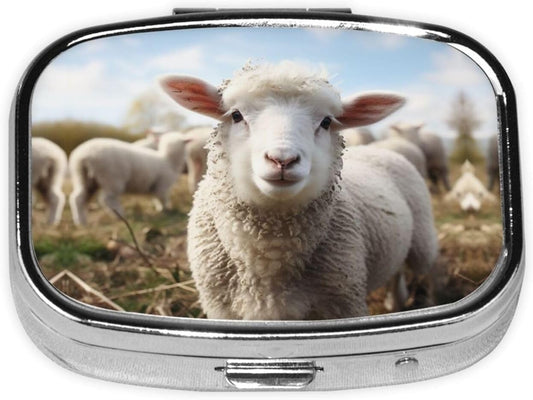 Square Round Pill Case Cute Sheep Lamb Pill Box Daily 2 Compartment Travel Pill Container for Pocket Purse Portable Medicine Cod Liver Oil Storage Box 2 Times a Day Pill Organizer