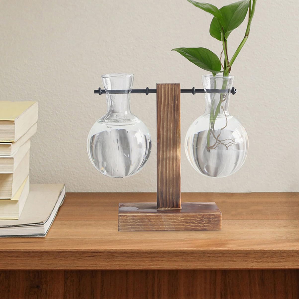 Mobestech 3pcs Hydroponic Glass Vase Base Clear Borosilicate Plant Propagation for Flowers and Terrariums and Stylish Desktop Decoration