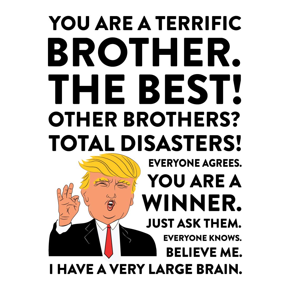 Andaz Press Funny President Donald Trump 11oz. Coffee Mug Gift, Terrific Brother, 1-Pack, Trump Brother Mug Christmas Birthday Drinking Cup Republican Birthday Gifts For Brothers
