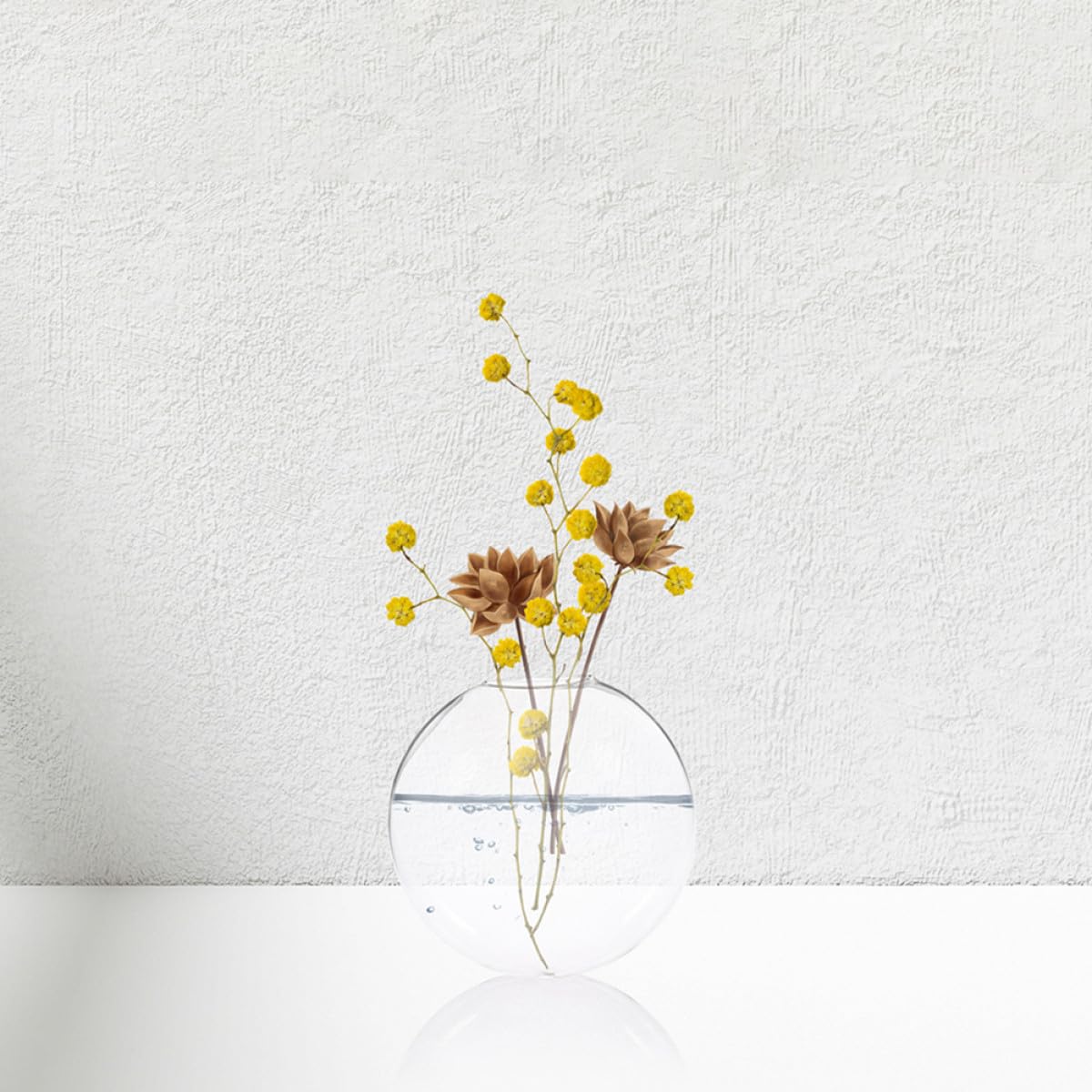 BESPORTBLE 2pcs Wall Hanging Glass Terrarium Vase for Hydroponic Plants, Flat Glass Propagation Bowl, Indoor Plant Holder for Home and Office Décor