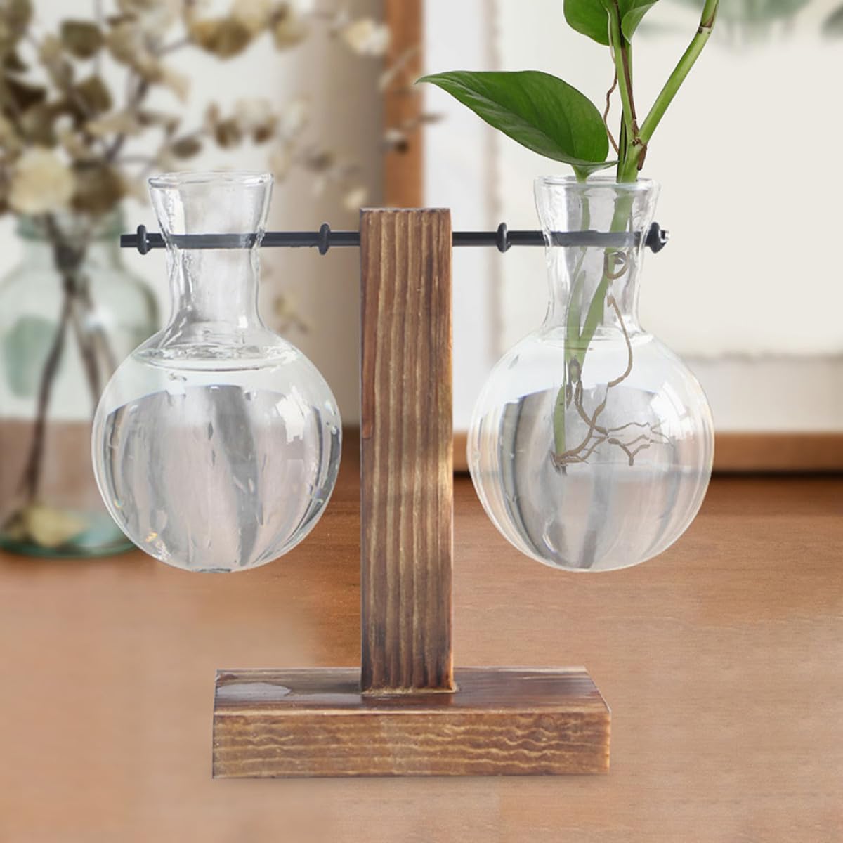 ULTECHNOVO 3pcs High Borosilicate Glass Hydroponic Plant Containers with Wooden Stand, Terrarium Holders for Home Decor and Indoor Propagation
