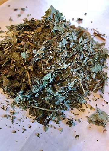 Organic Bio Herbs-Dried BlackBerry Leaves – 100% Natural, Premium Quality Herb for Herbal Tea, Tinctures & Remedies – Non-GMO, Additive-Free (Folia Rubus Fruticosus) 2 Oz.