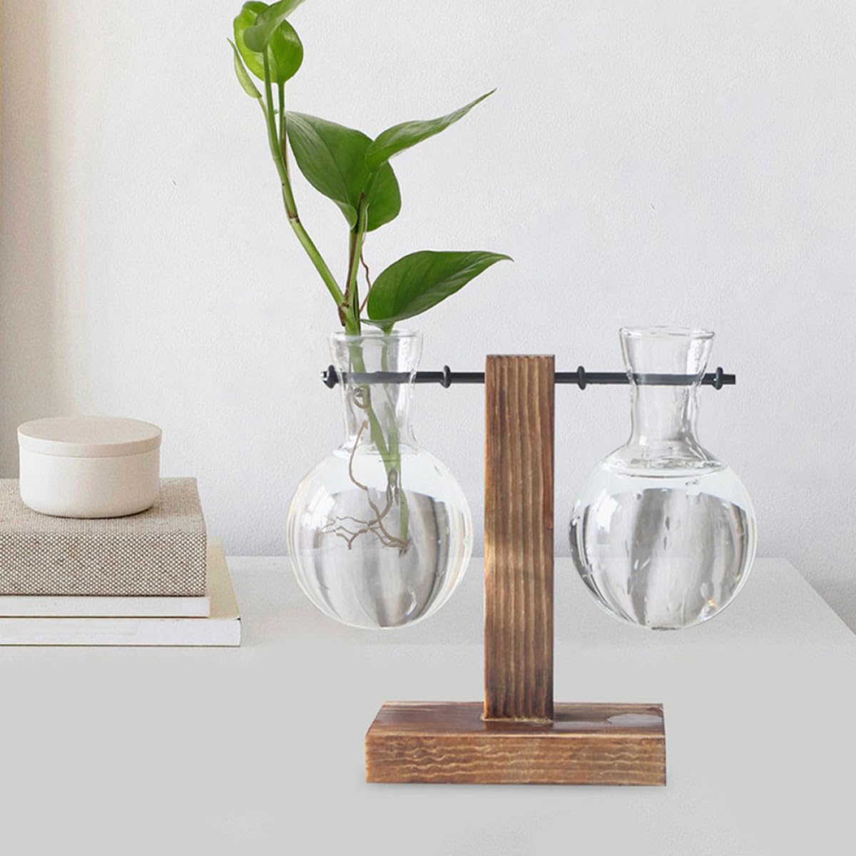 DRESSOOS 3pcs Glass Hydroponics Vase with Wooden Stand, High Borosilicate Plant Propagation Station for Desktop Terrarium and Home Garden Décor