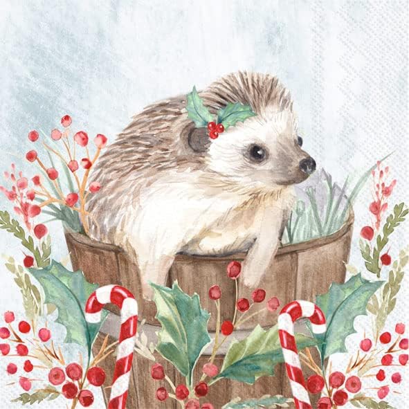 IHR Ideal Home Range Cocktail Napkins Disposable 3-Ply Paper Party Napkin Pack, 5" x 5", Holiday Hedgehog, 20-Count
