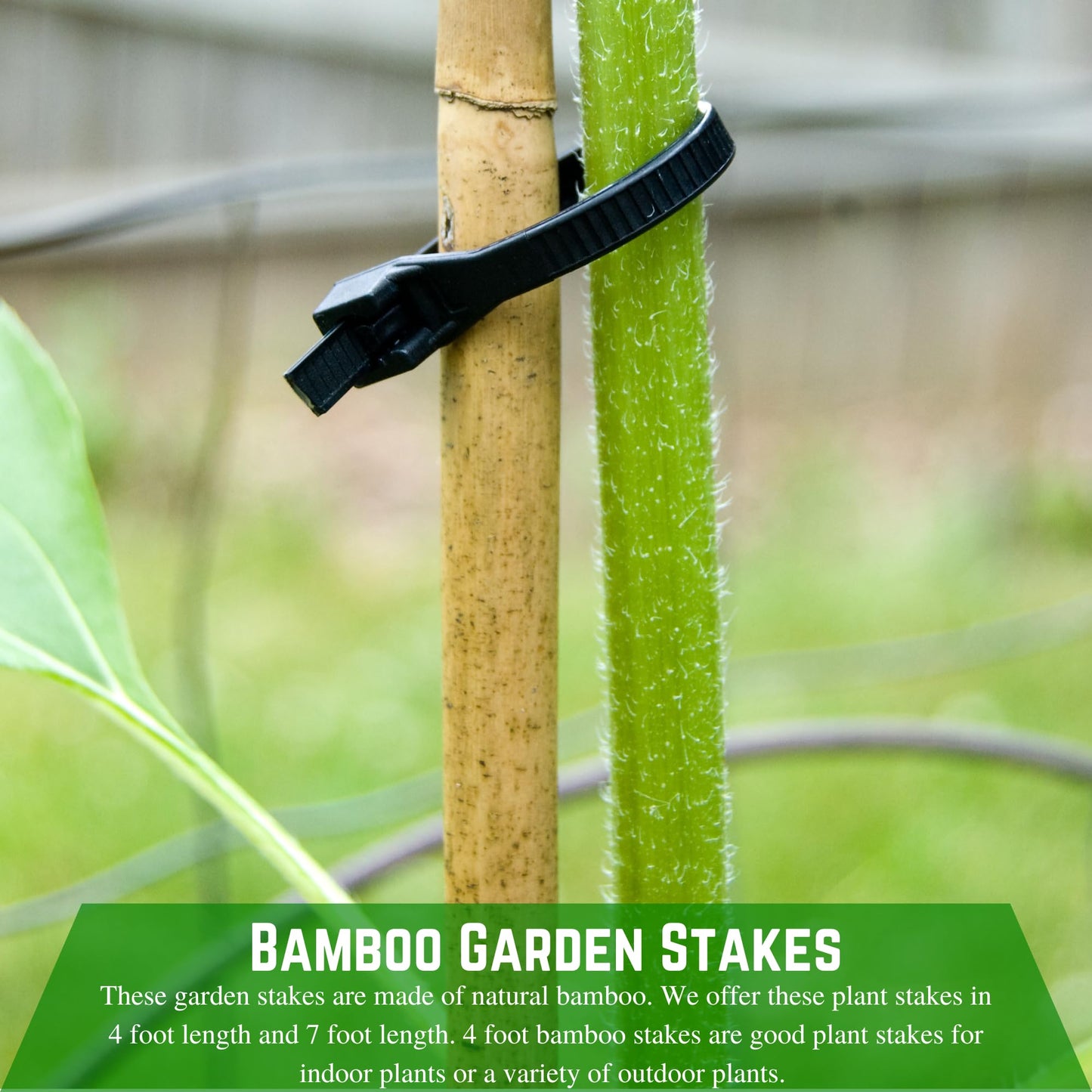 Farm Plastic Supply - Bamboo Garden Stakes - Bambo Sticks, Bamboo Plant Stakes for Outdoor Plants, Plant Support Stakes for Indoor Plants (7 Foot, 25)