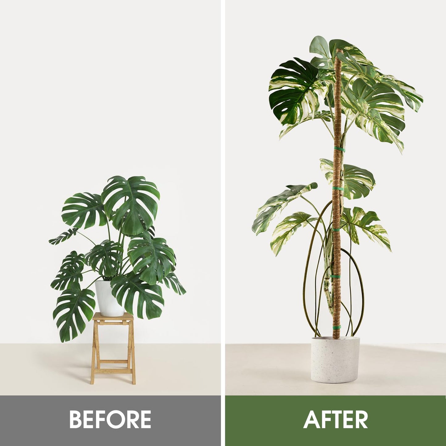 Moss Pole, 63 Inch Bendable Moss Pole for Plants Monstera, Moss Poles for Climbing Plants, Handmade Coco Coir Pole Plant Sticks Support Plant Stakes for Indoor Plants to Grow Upwards