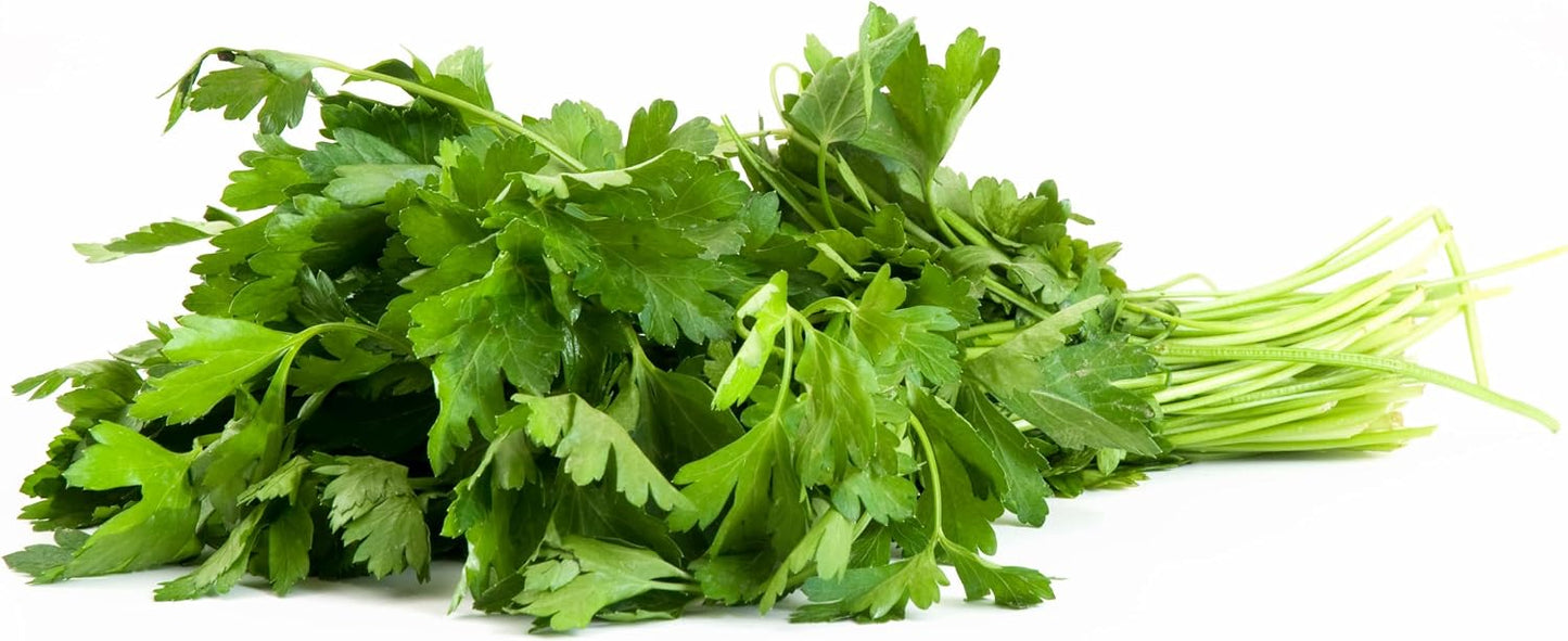 Rani Fresh Cilantro (Coriander) Leaves 2.5oz - 3.5oz, Pack of 1 ~ All Natural | Vegan | Gluten Friendly | NON-GMO | Product of USA