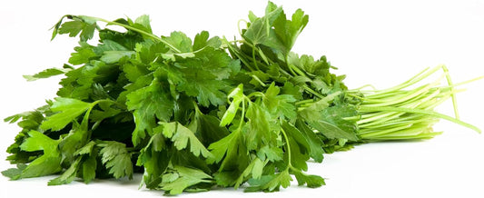Rani Fresh Cilantro (Coriander) Leaves 2.5oz - 3.5oz, Pack of 1 ~ All Natural | Vegan | Gluten Friendly | NON-GMO | Product of USA