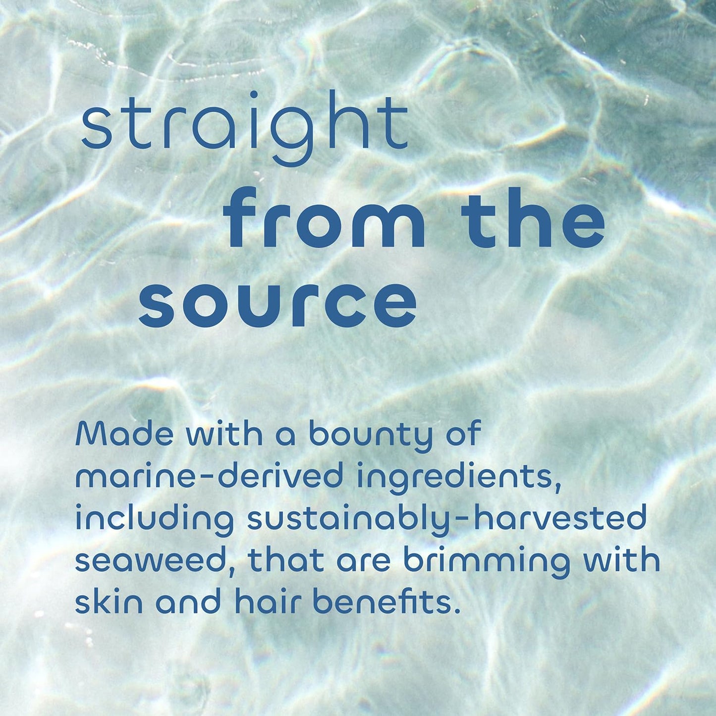 Seaweed Bath Co. Bubbling Muscle Soak, Tea Tree Lavender Scent, 12 Ounce, Sustainably Harvested Seaweed, French Sea Clay, Arnica