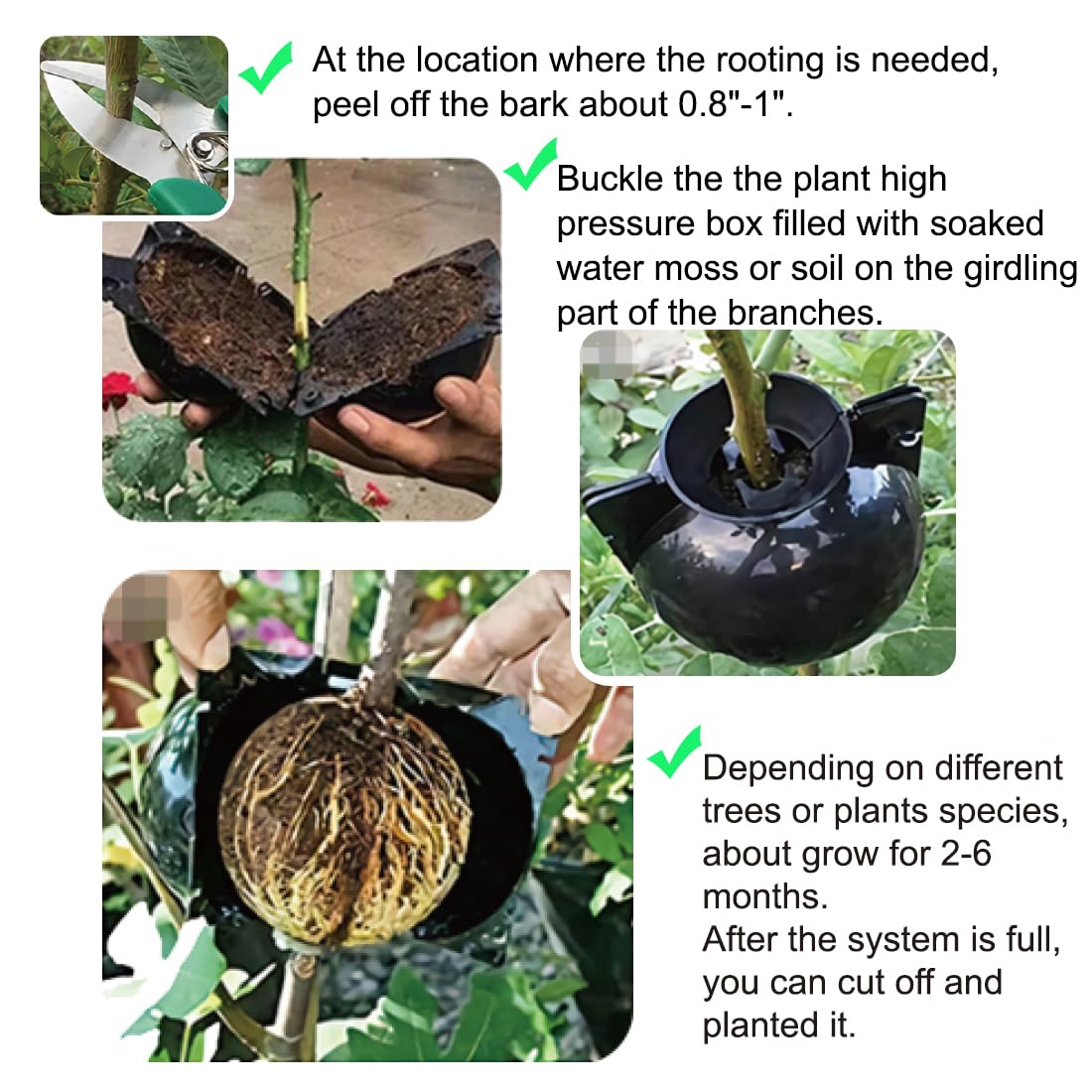 MIIIM 10 PCS Air Layering Propagation Kit with Zip Ties, Reusable Half Transparent Grafting Ball, Air Layering Pods Clear, Plant Rooting Grafting Box for Fast Propagation Plants (Medium)
