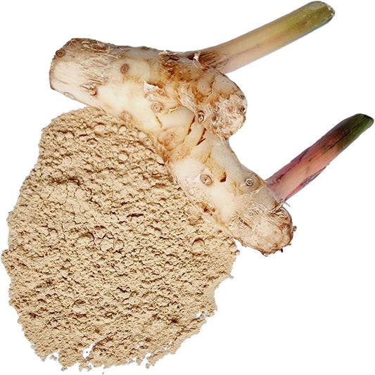 Galangal Powder, Made From 100% Alpinia galanga - Pure, Natural Greater Galangal, Lengkuas, and Blue Ginger - Net Weight: 1.76oz/50g