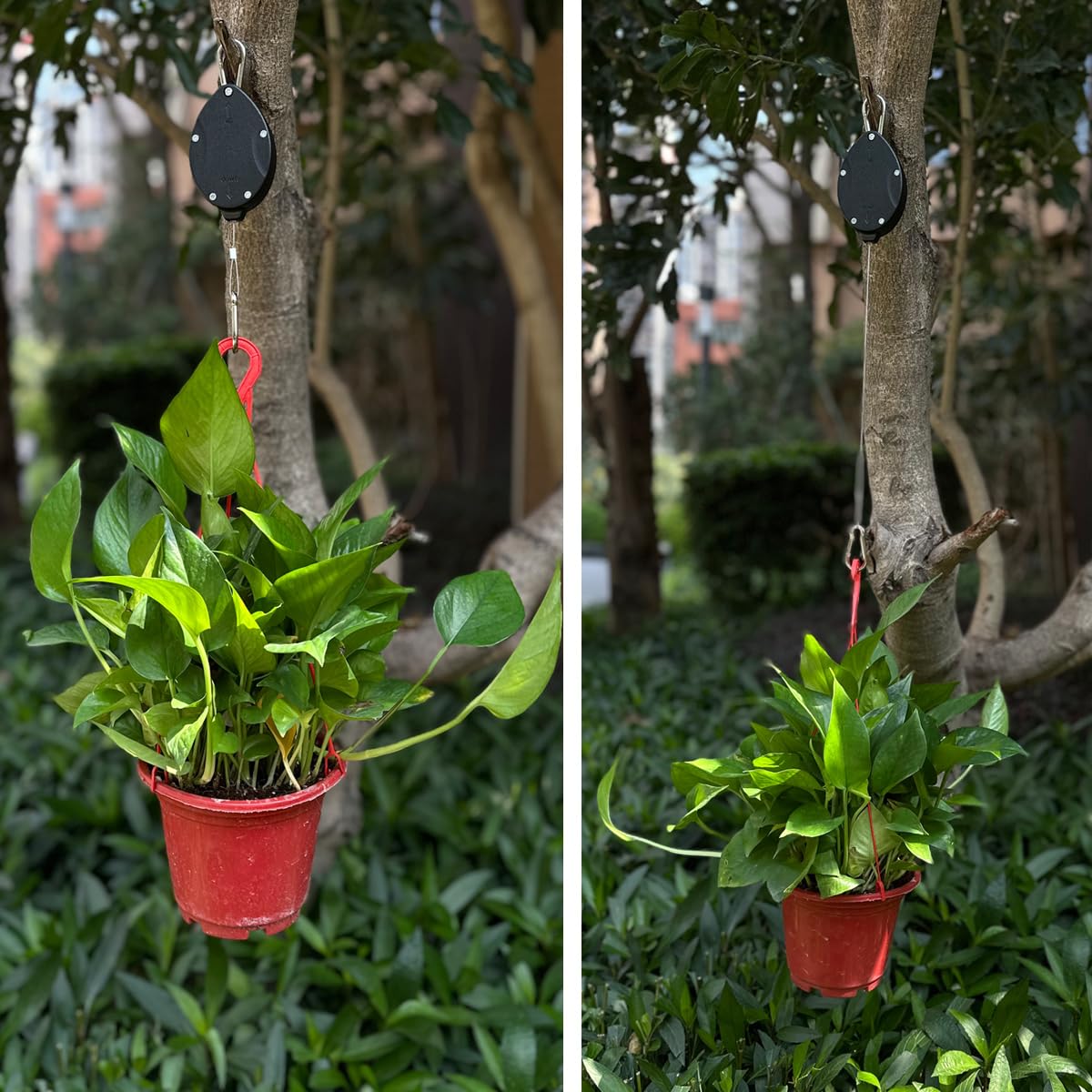 Lythor Retractable Plant Hanger, Set of 2 Plant Hook Pulley with Stainless Steel Rope Reaching to a Length of 63 Inches and Carrying 44 Pounds, Easy for Hanging, Plant Watering or Bird Feeding