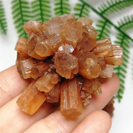 Natural Crystal Rough 1pc Natural Rare Red Aragonite Quartz Crystal Cluster Ornaments Rough Stone Cluster Specimen Home Decor (Color : As Shown, Size : 30-40g)