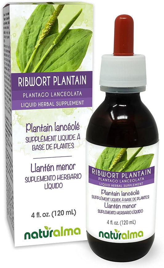Naturalma Ribwort Plantain or Narrowleaft Plantain (Plantago lanceolata) Leaf Alcohol-Free Tincture - 4 fl oz Liquid Extract in Drops - Herbal Supplement - Vegan