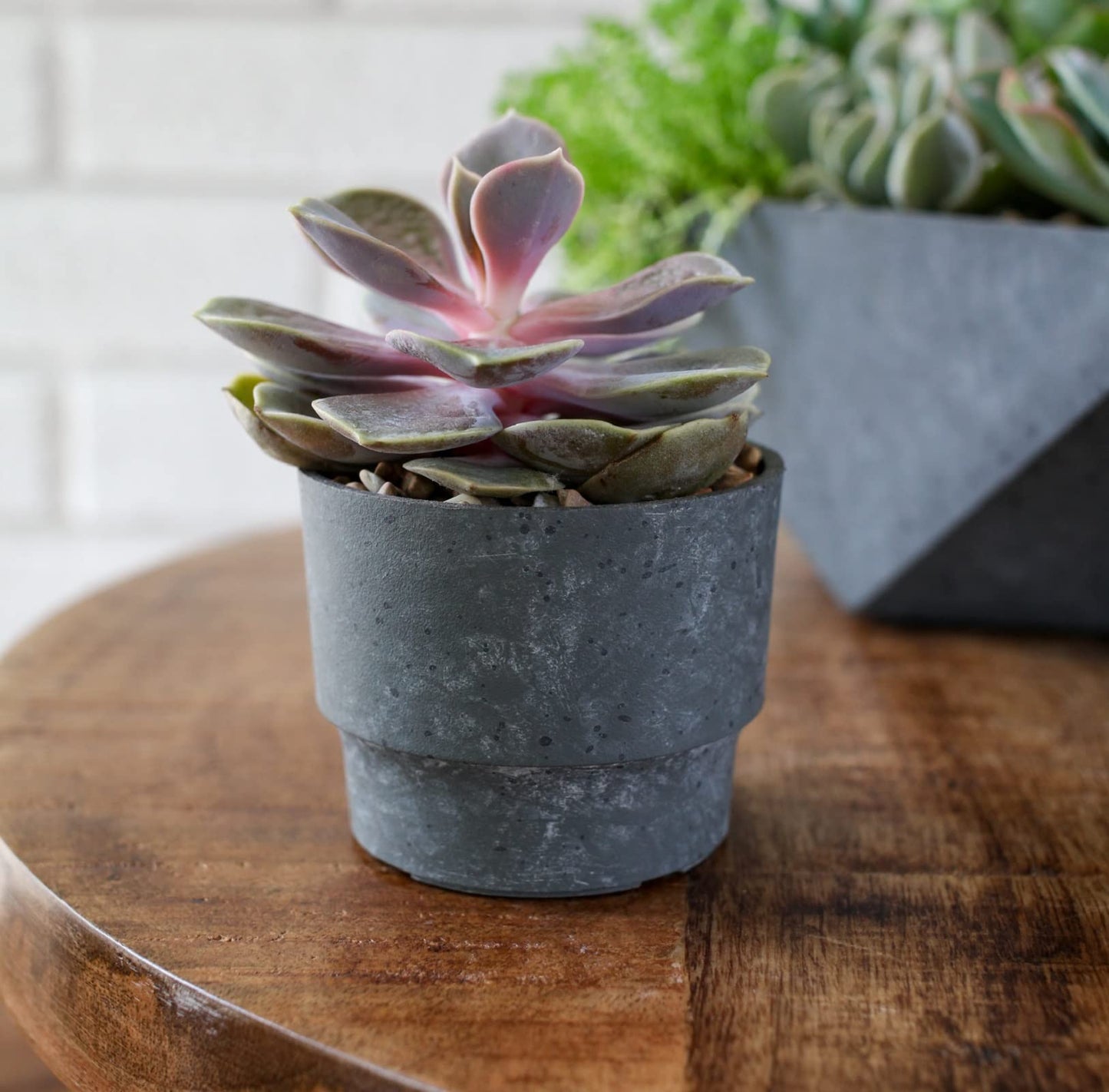 The HC Companies 7 Inch Sprite Succulent Pot 6.95"x6.95""x6.21Inch in Faux Concrete Color"