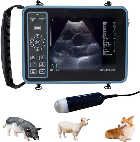 DAWEI Vet Ultrasound Machine for Pregnancy Veterinary Ultrasound Scanner with 3.5Mhz Convex Probe for Sheep，Goat,Pig