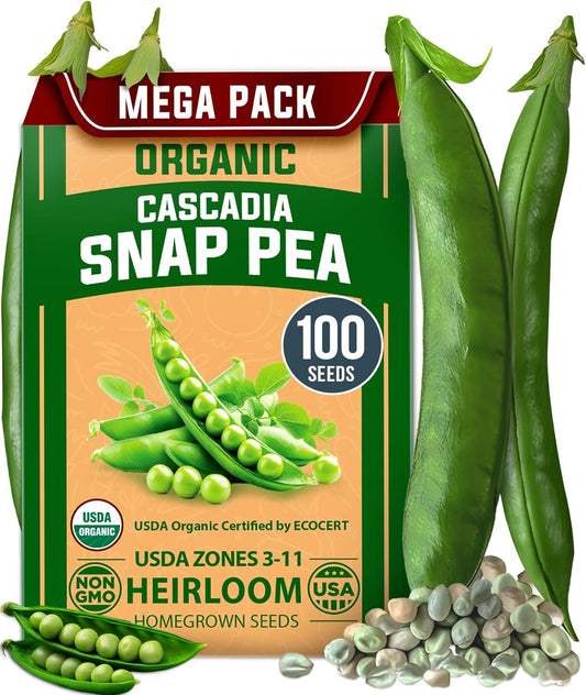 HOME GROWN Organic Cascadia Snap Pea Seeds 100+ Heirloom Non-GMO Seeds for Planting, High Germination, Sweet Edible Pods, Stringless Sugar Snap, Cool Season Garden, Containers (Pisum sativum)
