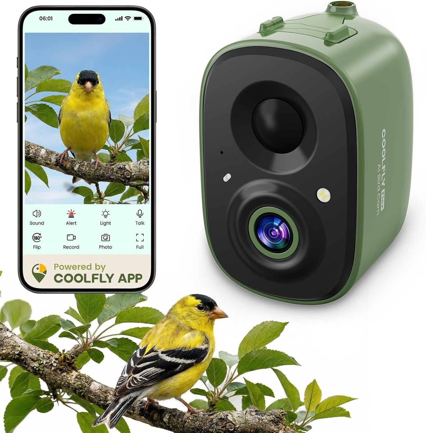 Smart Bird Camera Only, for Bird Feeder/Bath/House, 2.5K UHD Birdwatching Live, Free AI Bird Identification, Auto Capture Video, Instant Alerts, 2.4Ghz WiFi, Wireless Outdoor Cam for Bird Lovers