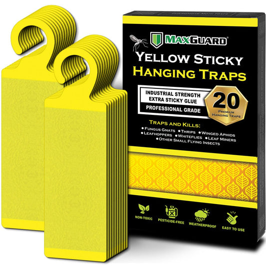 MaxGuard (20 Pack) Yellow Sticky Hanging Traps - Catch and Kill Fungus Gnats, Whiteflies, Mosquitos, Aphids, Leaf Miners, Flying Insect Catcher Glue Trappers for Indoor or Outdoor