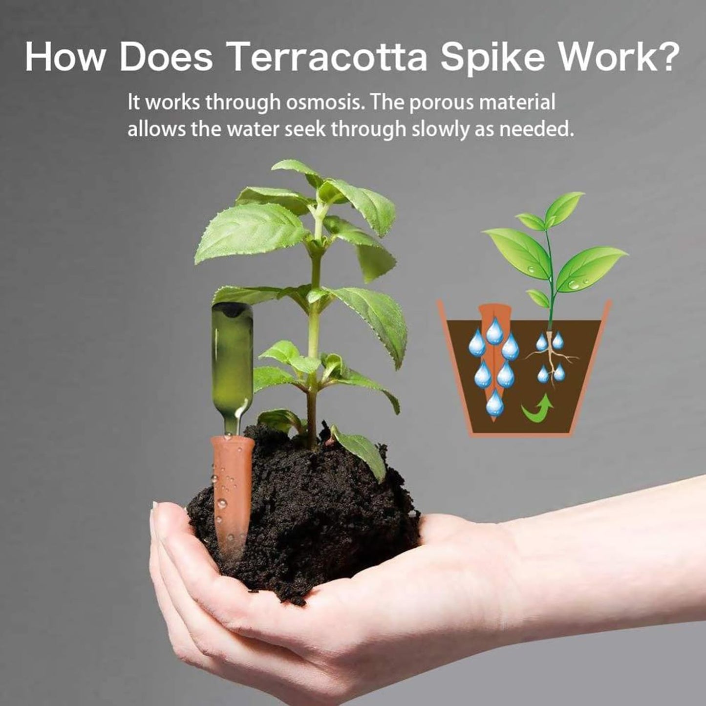 Plant Watering Devices, 8 Pack Terracotta Watering Spikes, Automatic Self Watering Spikes, Clay Wine Bottle Plant Watering Devices for Vacation, Self-Watering Stakes for Indoor Outdoor Plants