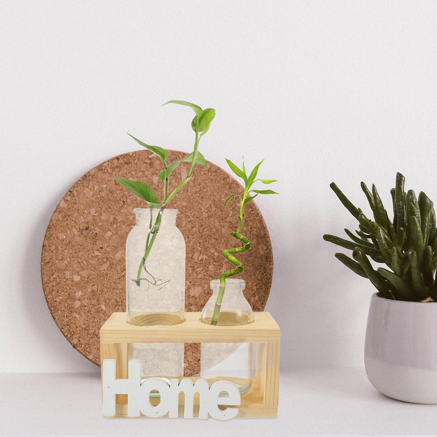 Alipis Glass Vase Set with Wooden Stand for Hydroponic Indoor Plants, Decorative Plant Terrarium Container for Home Décor and Table Centerpieces, Nordic Style Glass Planter, 2pcs