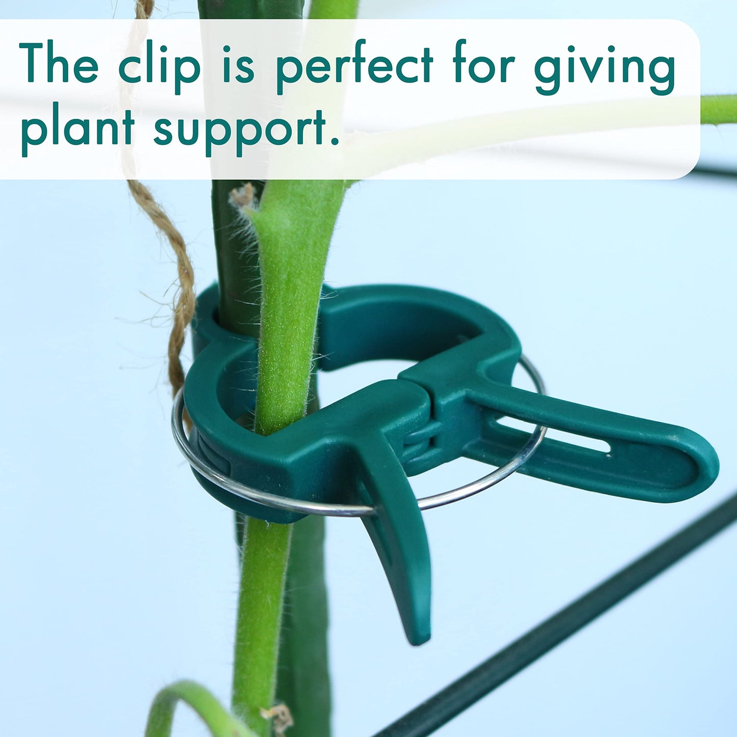 Gardzen 80 Pcs Garden Plant Clips, Plant Support Clips for Securing Stems, Flowers or Climbing Vines to Tomato Cages, Trellis