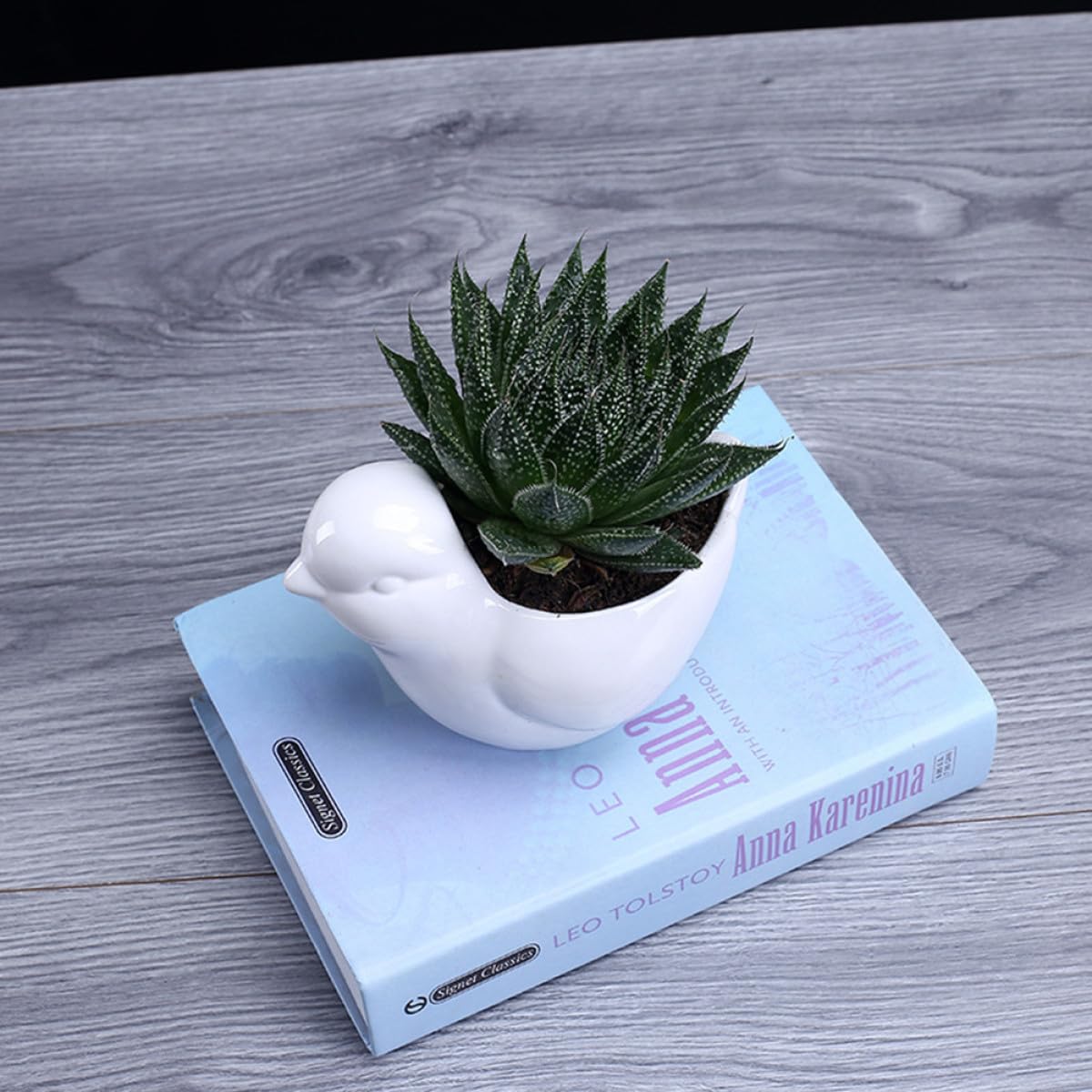 FOMIYES Ceramic Succulent Plant Container Bird Shape Small White Flower Pot Saucer Indoor Desktop Planter for Home Gardening