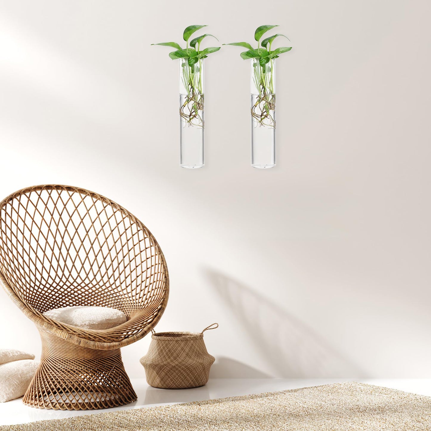 OSOLADY Wall Mounted Glass Cylinder Vases for Plants, Hanging Terrariums Water Propagation Stations, 2pcs Large Round Tube Holders for Indoor Home Décor