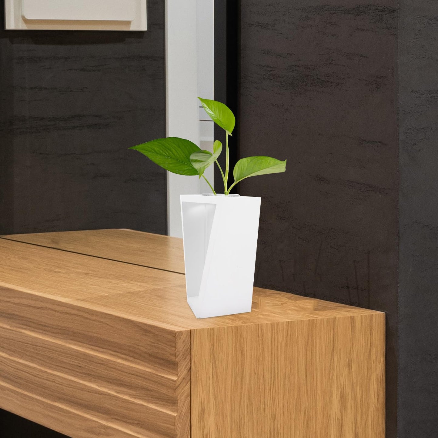 Beaupretty Wooden Frame Glass Vase Test Tubes Hydroponic Plant Propagation Station White Scandinavian Style Home Décor Desktop Terrarium for Indoor Gardening