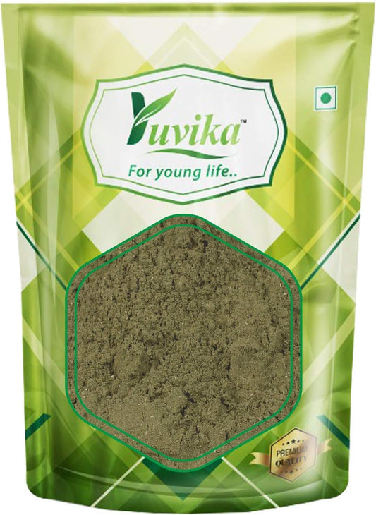 YUVIKA Podina | Pudina Powder - Mentha Arvensis Linn - Mint Leaves (100 GM)