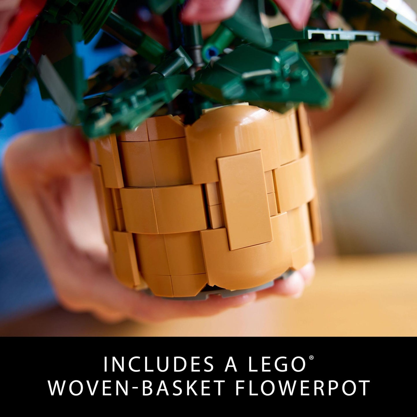 LEGO Icons Poinsettia Building Set - Artificial Flower Decorations & Centerpieces for Table, Adults Ages 18+ - 10370