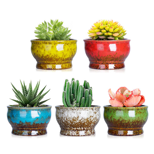 ARTKETTY Succulent Pots - 4.3 Inch Small Plant Pots with Drainage Set of 5, Ceramic Pots for Indoor Plants Glazed Cactus Flower Planter Container
