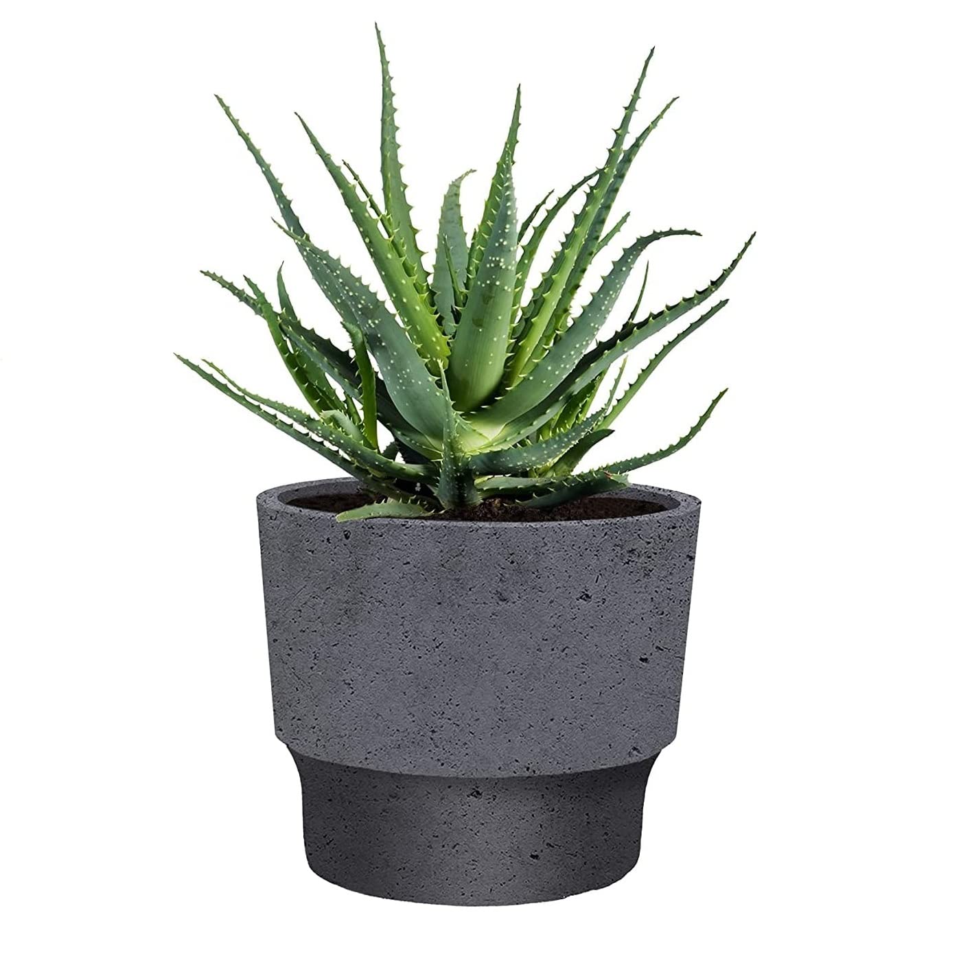 The HC Companies 7 Inch Sprite Succulent Pot 6.95"x6.95""x6.21Inch in Faux Concrete Color"