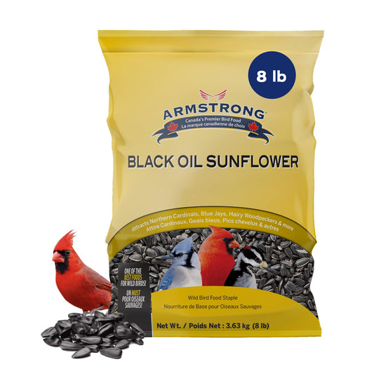 Armstrong Bird Food Black Oil Sunflower Bird Seed, 8 Pounds - for Northern Cardinals, Blue Jays and Hairy Woodpeckers - Ideal for Outside Feeders