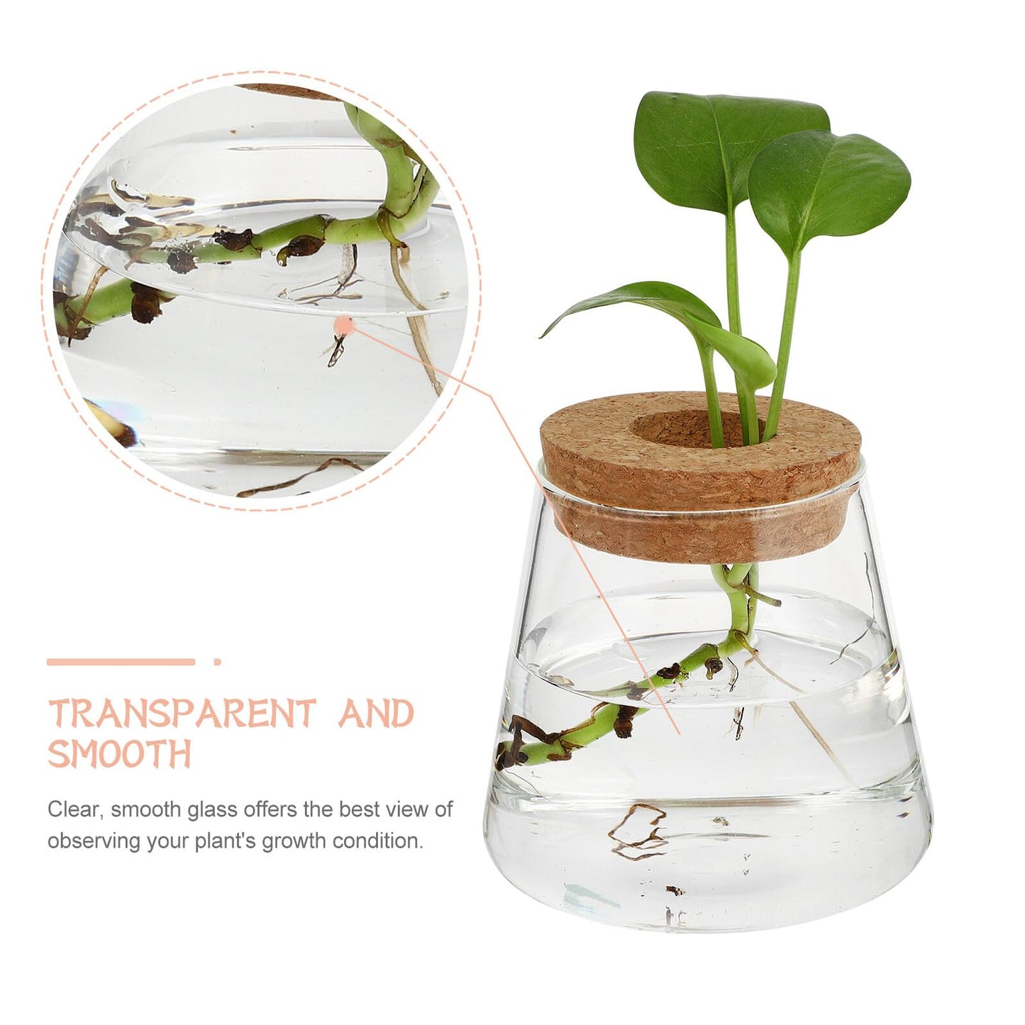 Balacoo 2pcs Hydroponic Glass Planter Vase Desktop Terrarium for Water Plants 6.5cm Opening Glass Eco Bottle Suitable for Home Office Gardening