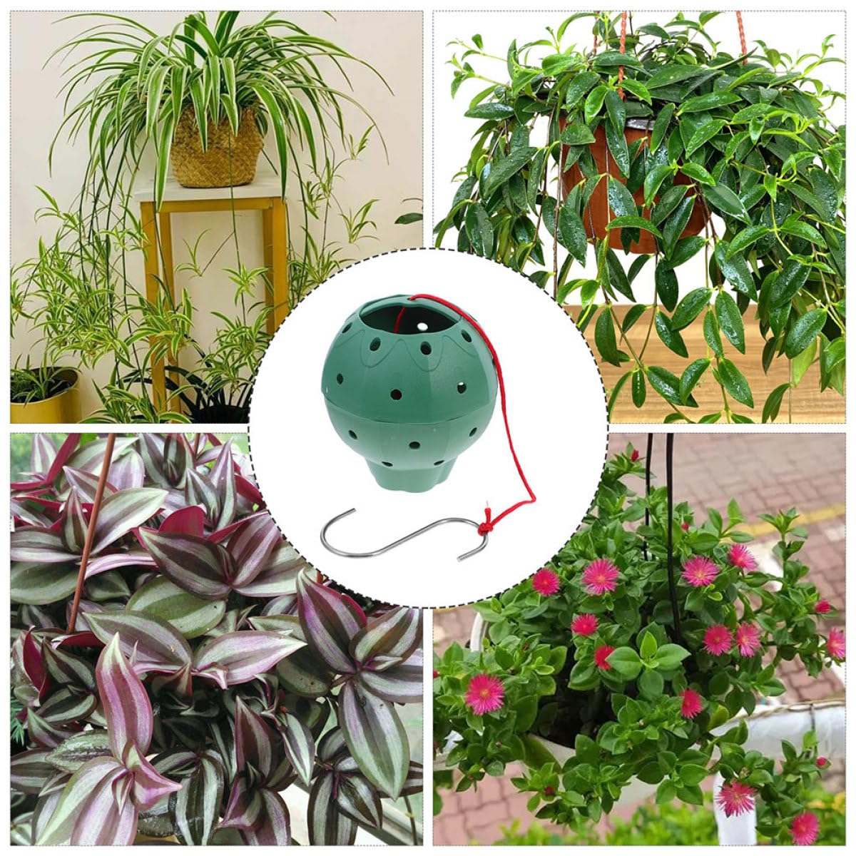 BESPORTBLE 5pcs Hanging Strawberry Planters with Side Holes, Round Small Indoor Pots for Succulents, Orchids, and Hydroponic Gardening, Multipurpose Plastic Containers for Home Patio
