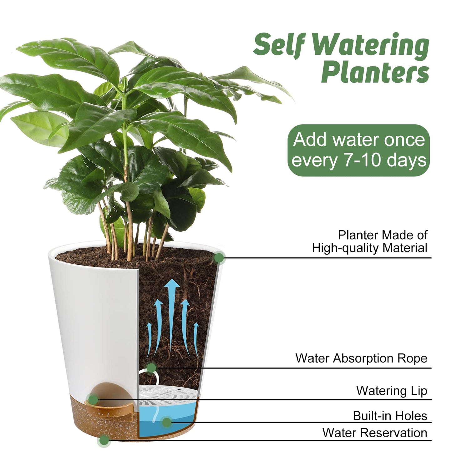 YNNICO Indoor Self Watering Planters with Drainage Holes and Saucers, 8, 7, 6.5, 6, 5.5, 5 Inches, White, 6 Pots