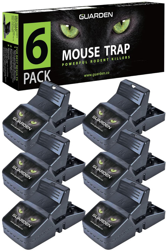 Mouse Traps Indoor Small Size (6 Pack) Catch Mice, and Voles Fast with These Simple to Bait, Safe to Set, Non Electric Rodent Trap for Home, Yard, and Barn (Six Mouse Traps)