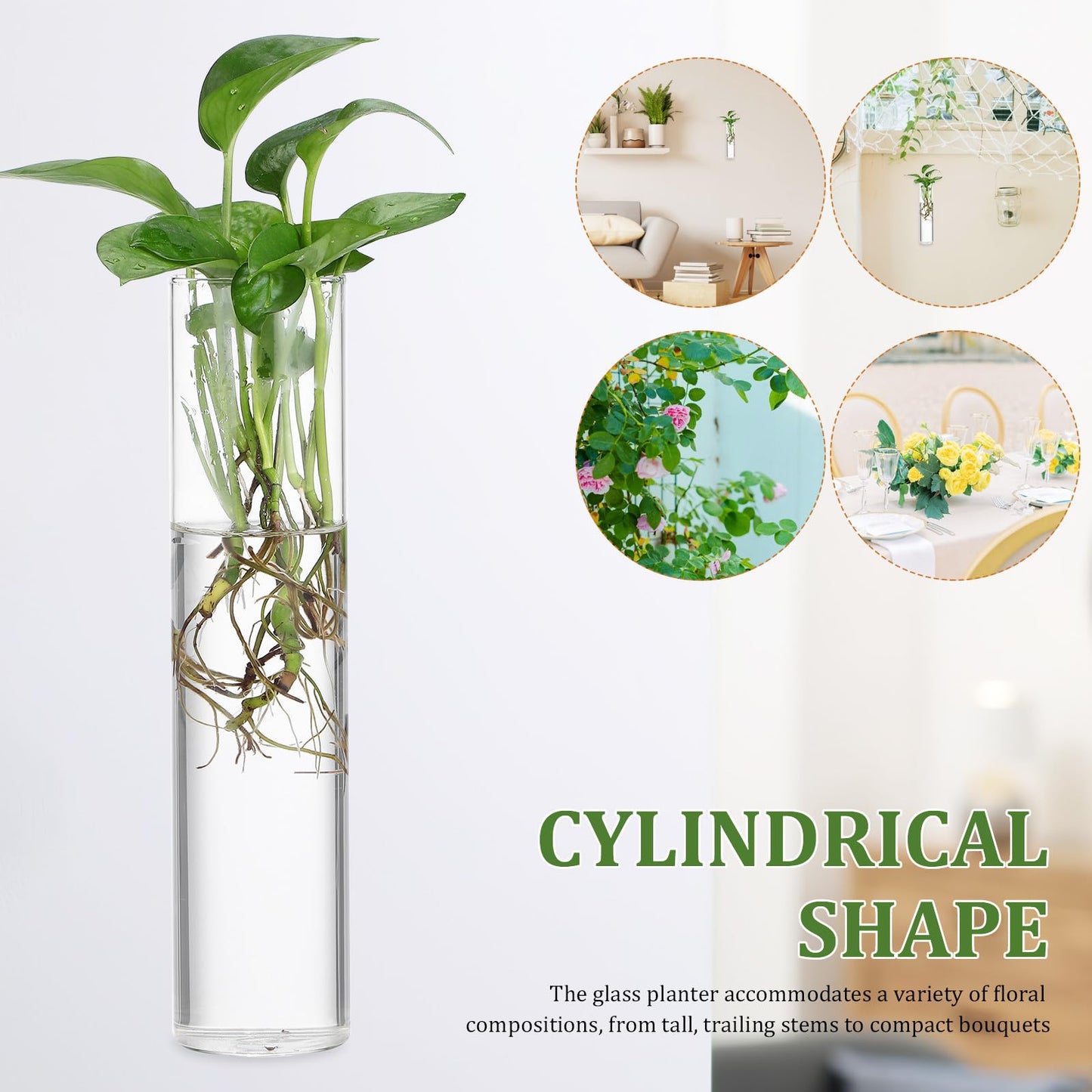 SOESFOUFU Wall Mounted Glass Cylinder Vases for Plants, 2pcs Hanging Hydroponic Terrarium Stations, Glass Flower Holders for Indoor Home Décor