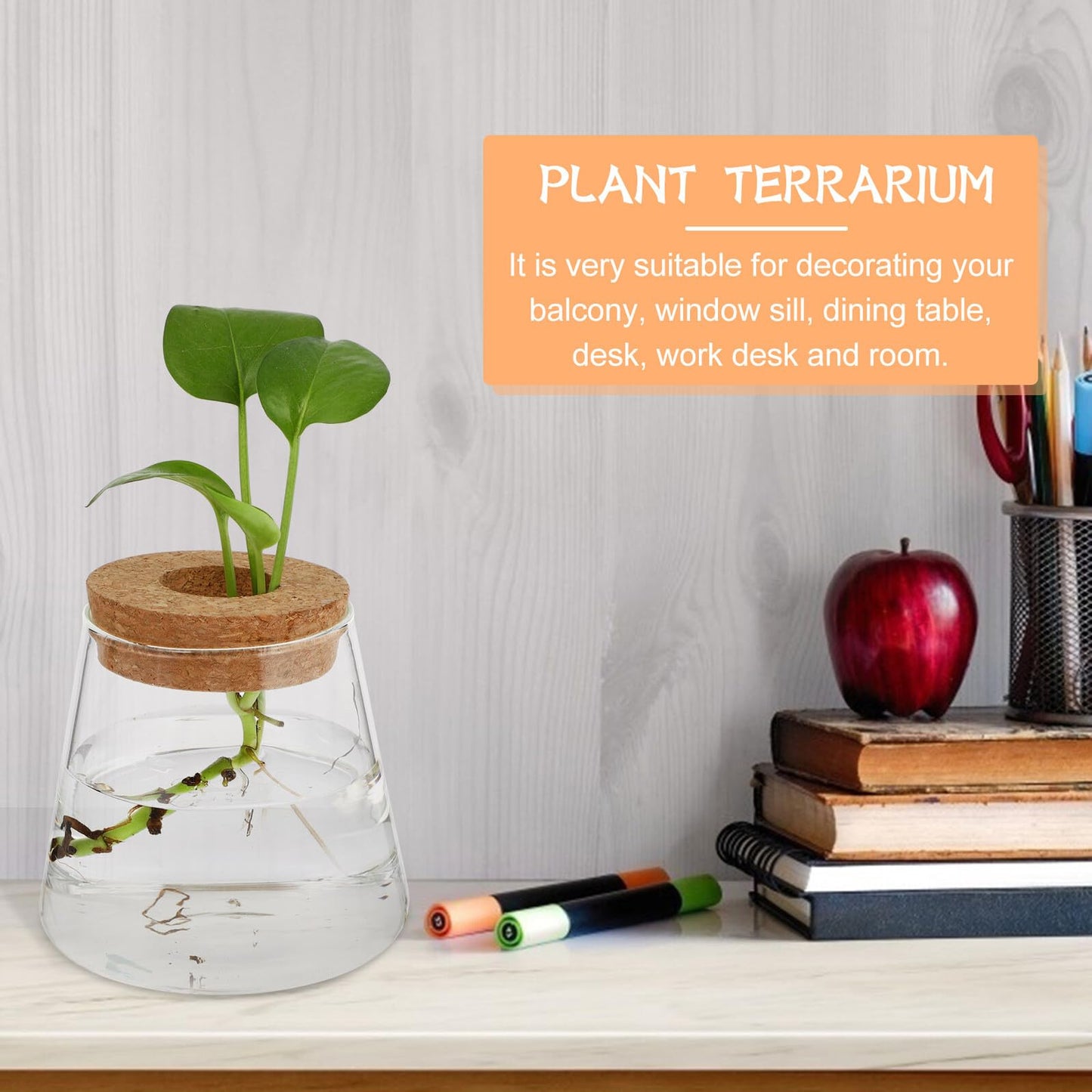 Healvian 2pcs Hydroponic Glass Plant Containers with Cork Lids 400ml Small Desktop Terrarium Vessels for Home and Office Garden Decoration