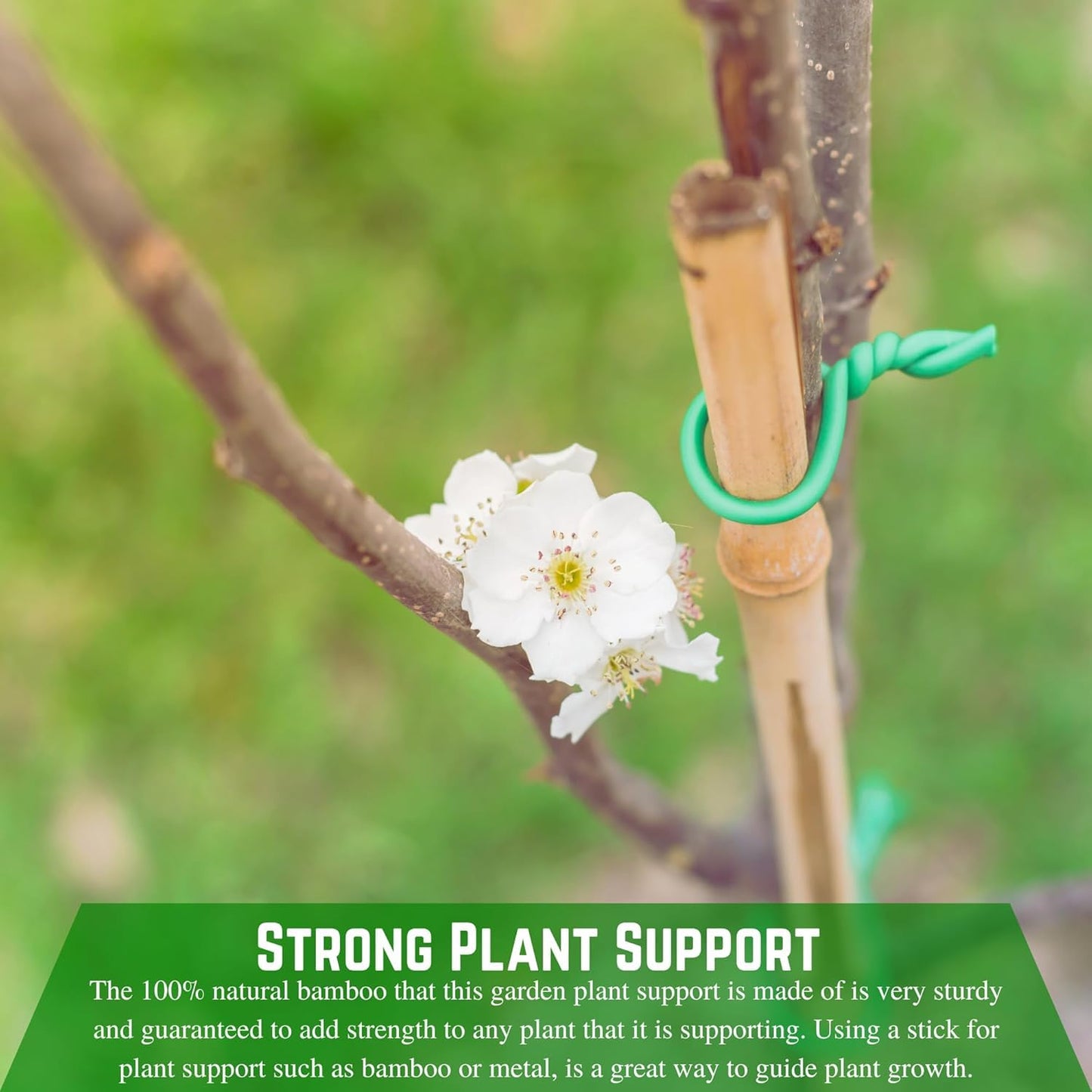 Farm Plastic Supply - Bamboo Garden Stakes - Bambo Sticks, Bamboo Plant Stakes for Outdoor Plants, Plant Support Stakes for Indoor Plants (4 Foot, 20)