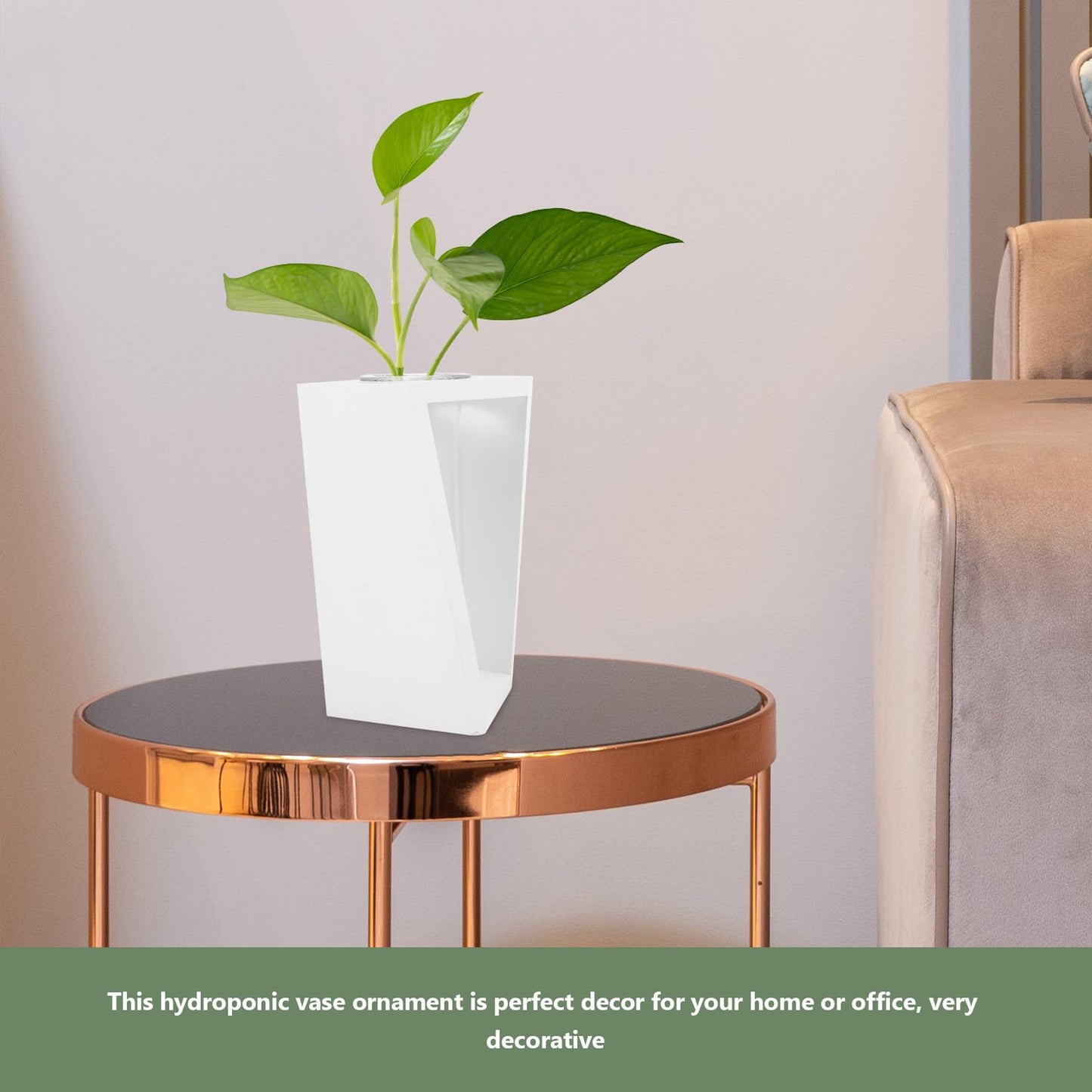 YARNOW Test Tube Plant Vase with White Wood Rack, Glass Hydroponic Propagation Tubes for Indoor Water Culture, Small Terrarium Holder for Home and Office Décor