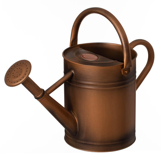 Gardenised 1 Gallon Metal Watering Can with Removable Long Spout & Sprinkler Head for Indoor & Outdoor Use Ideal for Garden Flowers Potted Plants Houseplants Modern Decorative Home Accessories, Bronze