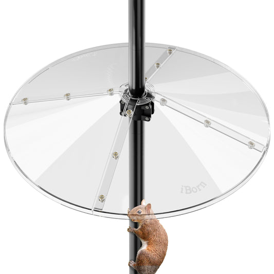 iBorn Squirrel Baffle for Bird Feeder Pole, 19.5â Oversized Squirrel Guard Defender, Bird Feeder for Outdoors Protector, Polycarbonate(PC), Pack of 1, Clear