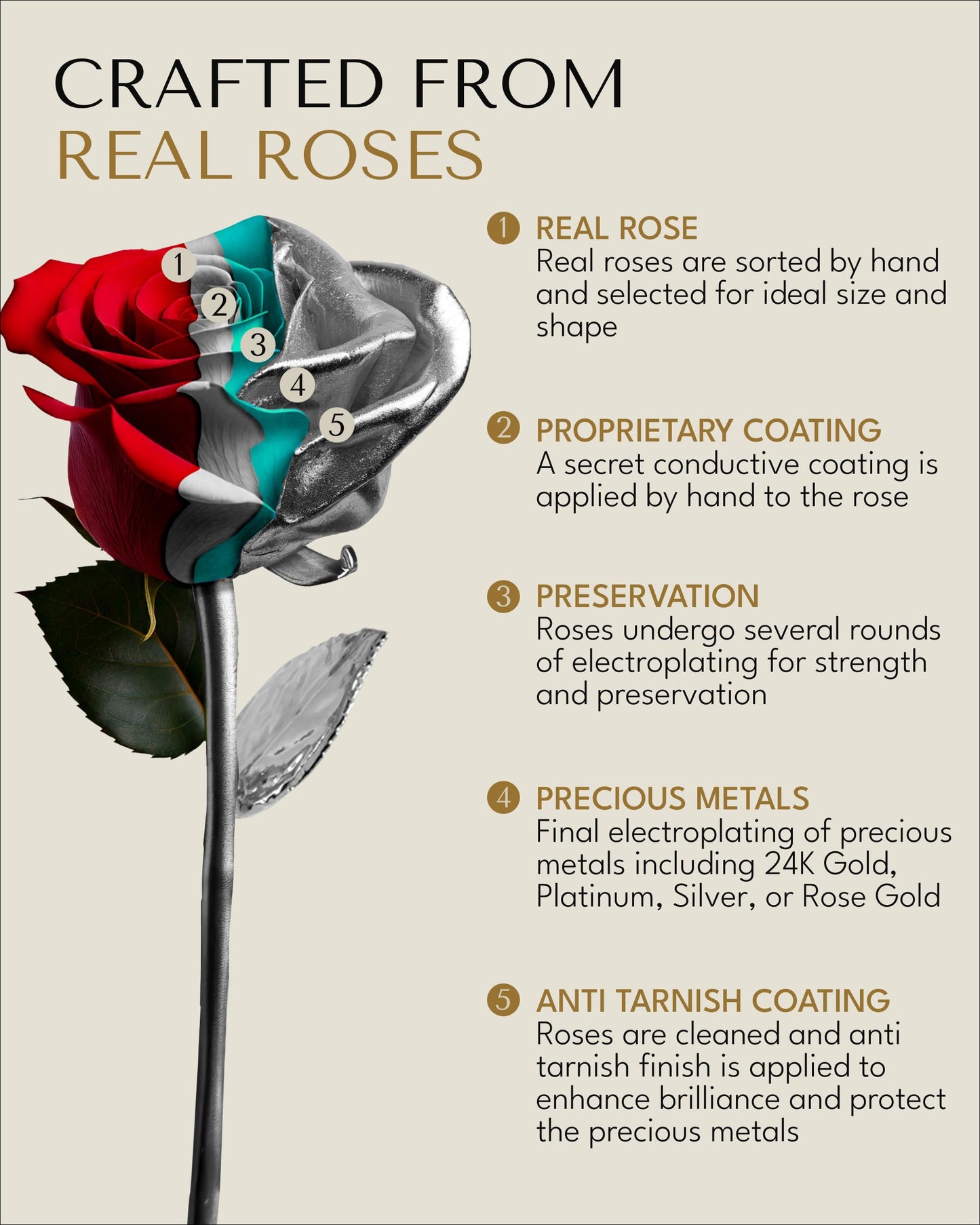 Forever Rose Real Rose Dipped in Platinum, Handcrafted Preserved Rose in Luxury Gold Gift Box, Romantic Gift for Her, Elegant Keepsake for Anniversary, Birthday, or Any Special Occasion