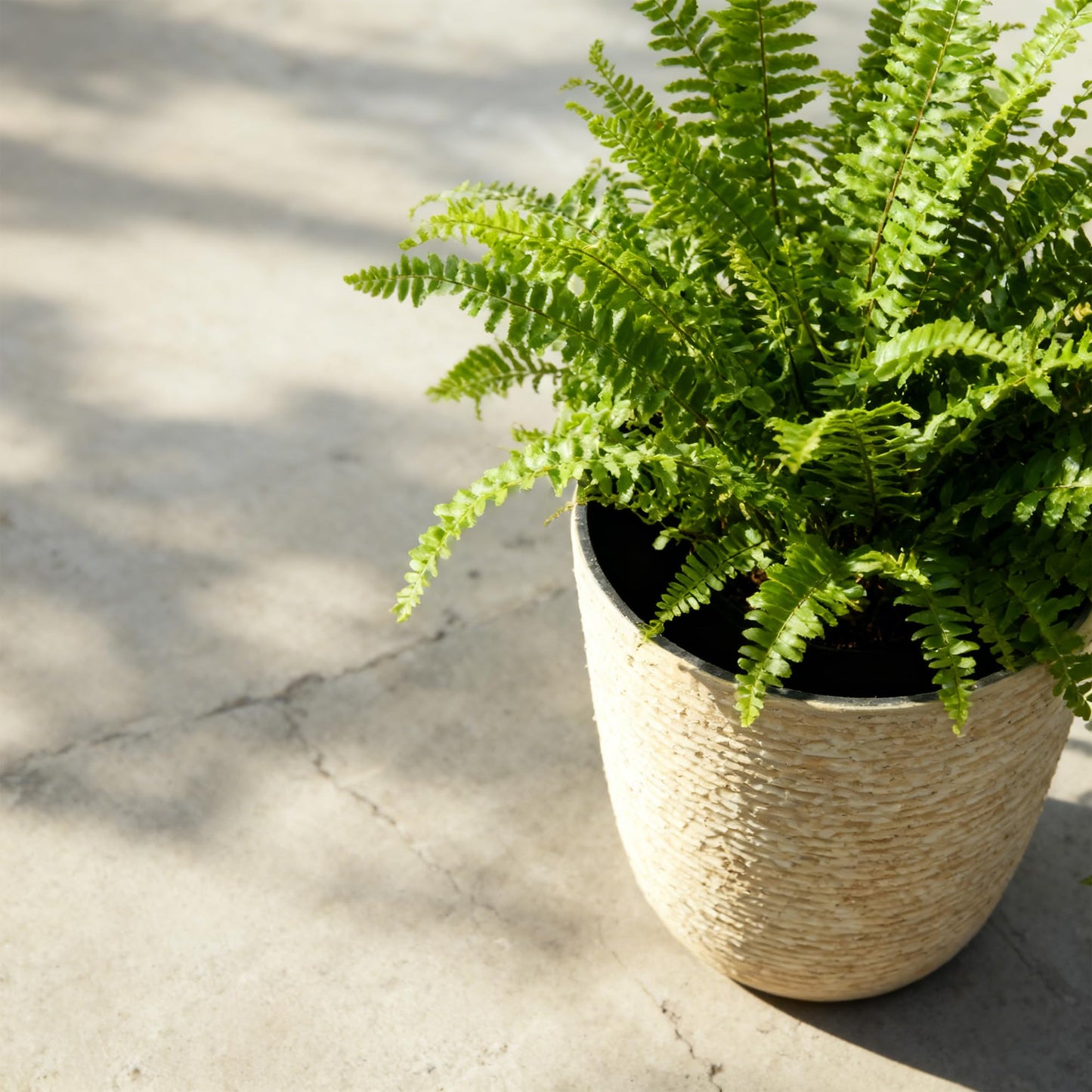 Worth 9 Gallon Tall Round Planters Set of 2-14" Dia x 21"" H Stone Finish Flower Pots Indoor Decorative Container Garden Patio Unbreakable Beige"